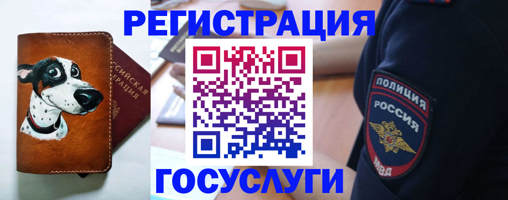 временная регистрация в квартире в Соль-Илецке